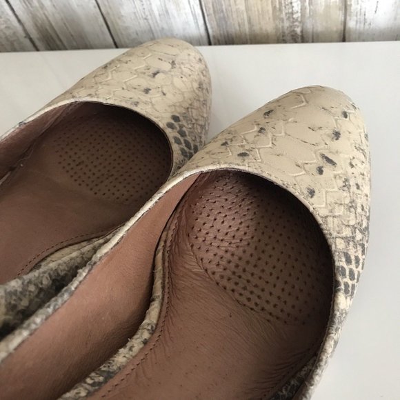 CORSO COMO Python DEL Beige Black Gray Heels 7.5 - Picture 5 of 6